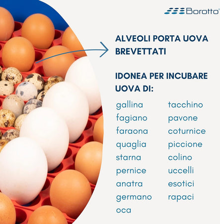 Borotto-LUMIA-56-Automatica---Incubatrice-per-Uova-Professionale-Brevettata,-con-Girauova-Automatico---per-56-Uova-Medio/Grandi
