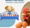 Borotto-LUMIA-56-Automatica---Incubatrice-per-Uova-Professionale-Brevettata,-con-Girauova-Automatico---per-56-Uova-Medio/Grandi