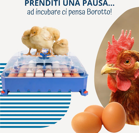 Borotto-LUMIA-56-Automatica---Incubatrice-per-Uova-Professionale-Brevettata,-con-Girauova-Automatico---per-56-Uova-Medio/Grandi
