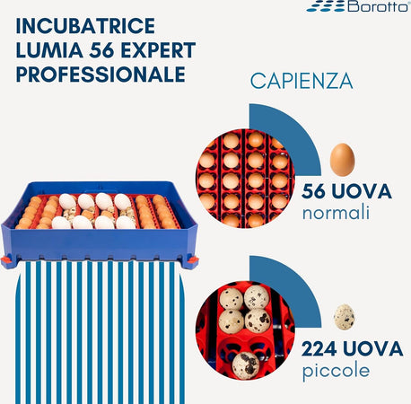 Borotto-LUMIA-56-Expert---Incubatrice-per-uova-Professionale-Brevettata,-Materiale-Termoisolante-con-Antibatterico,-con-Umidificatore-Automatico-Sirio---per-56-Uova-Medio/Grandi-o-224-Uova-Piccole