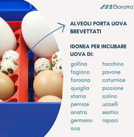 Borotto-LUMIA-8-Automatica---Incubatrice-per-Uova-Professionale-Brevettata,-con-Girauova-Automatico---per-8-Uova-Medio/Grandi-o-32-Uova-Piccole