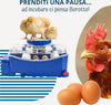 Borotto-LUMIA-8-Automatica---Incubatrice-per-Uova-Professionale-Brevettata,-con-Girauova-Automatico---per-8-Uova-Medio/Grandi-o-32-Uova-Piccole