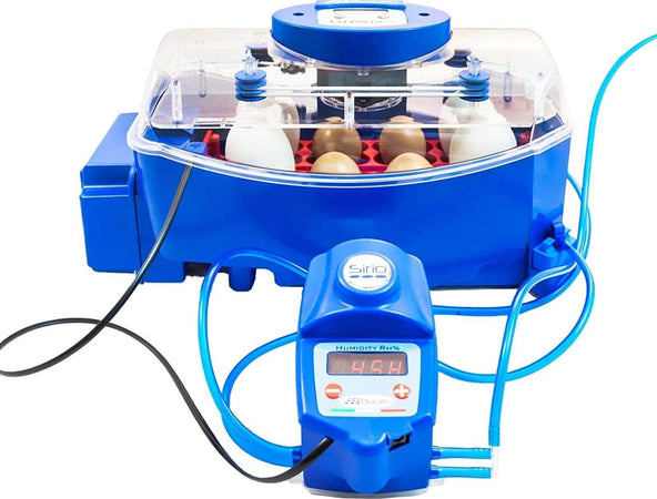 Borotto-Lumia-8-Expert---Incubatrice-per-Uova-Professionale-Brevettata,-Materiale-Termoisolante-con-Antibatterico,-con-Umidificatore-Automatico-Sirio---per-8-Uova-Medio/Grandi-o-32-Uova-Piccole
