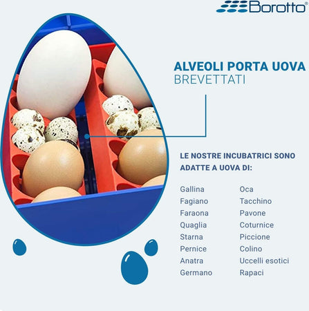 Borotto-Lumia-8-Expert---Incubatrice-per-Uova-Professionale-Brevettata,-Materiale-Termoisolante-con-Antibatterico,-con-Umidificatore-Automatico-Sirio---per-8-Uova-Medio/Grandi-o-32-Uova-Piccole