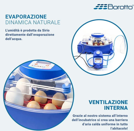 Borotto-Lumia-8-Expert---Incubatrice-per-Uova-Professionale-Brevettata,-Materiale-Termoisolante-con-Antibatterico,-con-Umidificatore-Automatico-Sirio---per-8-Uova-Medio/Grandi-o-32-Uova-Piccole