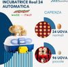 Borotto-REAL-24-Automatica---Incubatrice-per-uova-automatica-Professionale-Brevettata,-con-Girauova-Automatico---per-24-Uova-o-96-Uova-Piccole