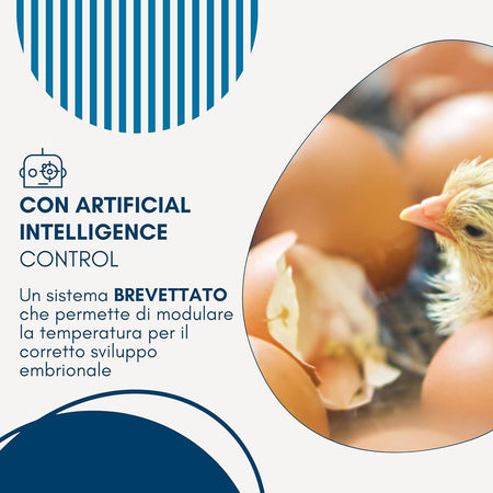 Borotto-REAL-24-Automatica---Incubatrice-per-uova-automatica-Professionale-Brevettata,-con-Girauova-Automatico---per-24-Uova-o-96-Uova-Piccole