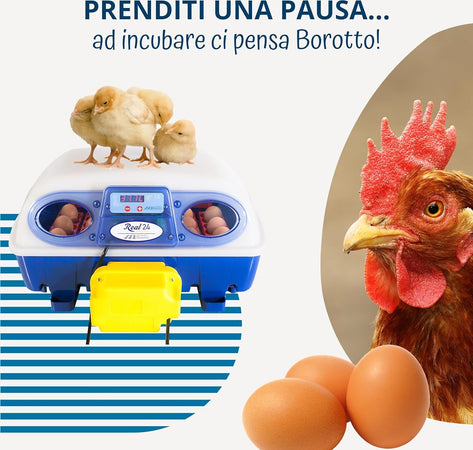 Borotto-REAL-24-Automatica---Incubatrice-per-uova-automatica-Professionale-Brevettata,-con-Girauova-Automatico---per-24-Uova-o-96-Uova-Piccole