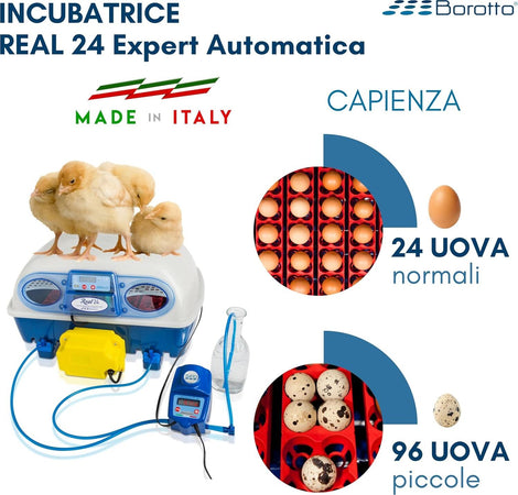 Borotto-REAL-24-Expert---Incubatrice-Automatica-Professionale-Brevettata,-con-Umidificatore-Automatico-Sirio---per-24-Uova-o-96-Uova-Piccole
