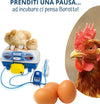 Borotto-REAL-24-Expert---Incubatrice-Automatica-Professionale-Brevettata,-con-Umidificatore-Automatico-Sirio---per-24-Uova-o-96-Uova-Piccole