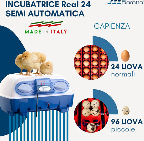 Borotto-REAL-24-Semi-Automatica---Incubatrice-Professionale-Brevettata,-con-Girauova-a-Levetta---per-24-Uova-o-96-Uova-Piccole