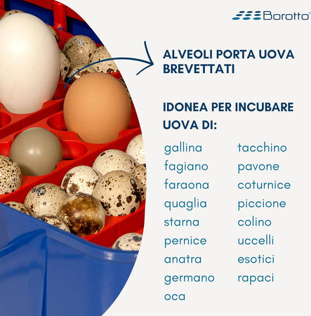 Borotto-REAL-24-Semi-Automatica---Incubatrice-Professionale-Brevettata,-con-Girauova-a-Levetta---per-24-Uova-o-96-Uova-Piccole