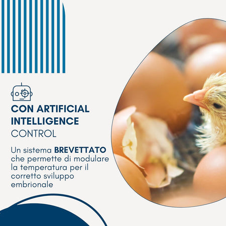 Borotto-REAL-49-Semi-Automatica---Incubatrice-Professionale-Brevettata,-con-Girauova-a-Levetta---per-49-Uova-o-196-Uova-Piccole