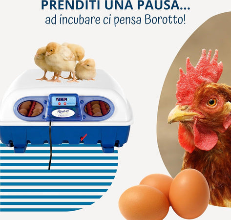 Borotto-REAL-49-Semi-Automatica---Incubatrice-Professionale-Brevettata,-con-Girauova-a-Levetta---per-49-Uova-o-196-Uova-Piccole