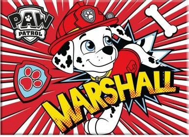 Borraccia in alluminio Portamerenda Paw Patrol e tovaglietta Cancelleria e prodotti per ufficio/Scuola e materiale didattico/Materiale scolastico/Portapranzo e borracce/Set pranzo Store Kitty Fashion - Roma, Commerciovirtuoso.it