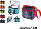 Borsa-Termica-30x24x17-Cm-Frigo-Porta-Alimenti-Spiaggia-Mare-Escursione-Pic-Nic