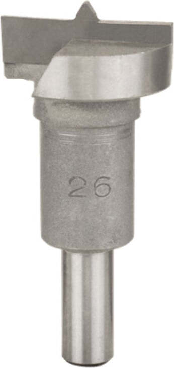 BOSCH---FRESA-PER-SCERNIERE-A-SBALZO-IN-CARBURO-DI-TUNGSTENO---8X30MM
