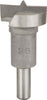 BOSCH---FRESA-PER-SCERNIERE-A-SBALZO-IN-CARBURO-DI-TUNGSTENO---8X30MM