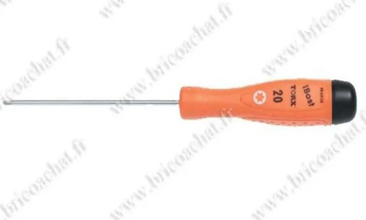 BOST---CACCIAVITE-AD-INTAGLIO-TORX-20