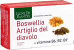 BOSWELLIA-ARTIGLIO-DIAVOLO-VITAMINE-B2-B6-B9-60-CAPSULE