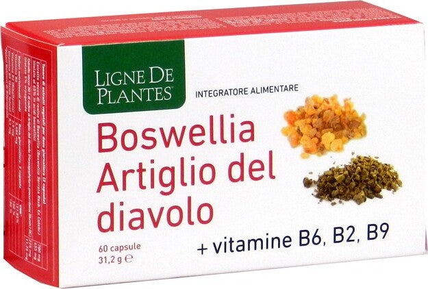 BOSWELLIA-ARTIGLIO-DIAVOLO-VITAMINE-B2-B6-B9-60-CAPSULE