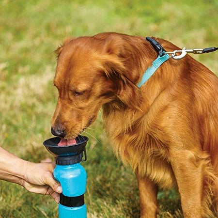 Bottiglia viaggio per cane e gatto 0.5 lt strappo azzurra o rosa Prodotti per animali domestici/Cani/Ciotole e distributori/Ciotole da viaggio Led Mall Home - Napoli, Commerciovirtuoso.it