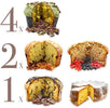 Box Pandori Artigianali Pancòdori Assortiti - Strenna 6 100% Made In Italy Multipack