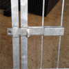 Box per Cani da Esterno con Zincatura a Caldo da 200x200x Altezza 180 Cm Prodotti per animali domestici/Cani/Cucce gabbiette e recinzioni/Recinti da esterno Ogomondo - Martina Franca, Commerciovirtuoso.it