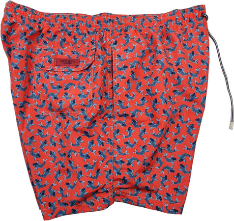 Product Image-2