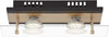 BRILONER--PLAFONIERA-2-LED---4W-400LUMEN---NERO/ORO-OPACO-VETRO-TRASPARENTE