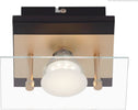 BRILONER--PLAFONIERA-LED---4W-400LUMEN--NERO/ORO-OPACO-VETRO-TRASPARENTE