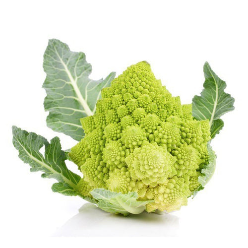 Semi di cavolfiore romanesco natalino  piante per orto e giardino coltivazione domestica e professionale