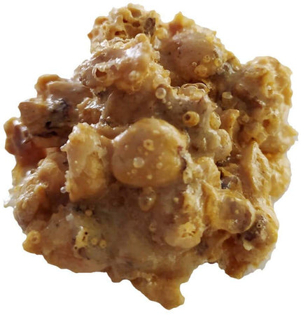 "Brutti ma Buoni" Biscotti Artigianali senza Glutine alla Nocciola con Nocciole Intere e in grani e Zucchero 300gr
