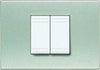 BTICINO---PLACCA-2-MODULI-GRIGIO-PERLA-N4819YN