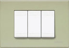 BTICINO---PLACCA-3-MODULI-VERDE-CHIARO-N4803VE