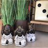 Set 3 Statue decorative moderne in fibra di cemento monaci Shaolin h 18 cm
