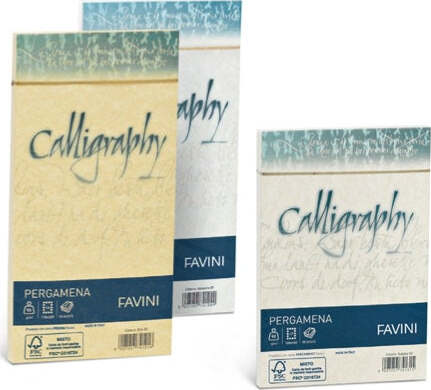 Busta Calligraphy Pergamena - 110 x 220 mm - 90 gr - perla 10 - Favini - conf. 25 pezzi Cancelleria e prodotti per ufficio/Carta blocchi e quaderni/Carta/Carta da lettere Eurocartuccia - Pavullo, Commerciovirtuoso.it