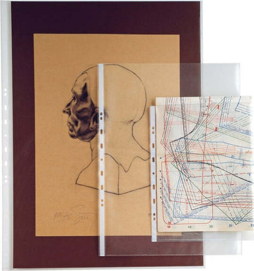 Buste forate Atla T - pesante - liscio - 25 x 35 cm - trasparente - Sei Rota - conf. 10 pezzi Cancelleria e prodotti per ufficio/Archivio ufficio e accessori per scrivania/Raccoglitori e accessori per raccoglitori/Buste a perforazione universale Eurocartuccia - Pavullo, Commerciovirtuoso.it