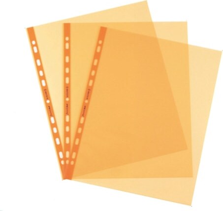 Buste forate Favorit Art - Superior - liscio - 22x30 cm - arancio - Favorit - conf. 25 pezzi Cancelleria e prodotti per ufficio/Archivio ufficio e accessori per scrivania/Raccoglitori e accessori per raccoglitori/Buste a perforazione universale Eurocartuccia - Pavullo, Commerciovirtuoso.it