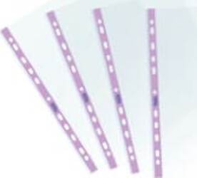 Buste forate Pstel - c- banda - liscia - 22 x 30 cm - lilla - Favorit - conf. 25 pezzi Cancelleria e prodotti per ufficio/Archivio ufficio e accessori per scrivania/Raccoglitori e accessori per raccoglitori/Buste a perforazione universale Eurocartuccia - Pavullo, Commerciovirtuoso.it