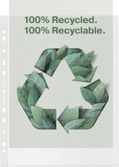 Buste perforate De Luxe riciclate 100 - antiriflesso - f.to 22 x 30 cm - Esselte - conf. 50 pezzi Cancelleria e prodotti per ufficio/Archivio ufficio e accessori per scrivania/Raccoglitori e accessori per raccoglitori/Buste a perforazione universale Eurocartuccia - Pavullo, Commerciovirtuoso.it