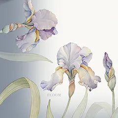 Sv Tavola x 12 Tessitura Randi Lily 150 x 270 Cm x 12 Cotone