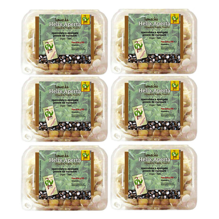 LUMACHE Monacella HELIX APERTA da Gastronomia Spurgate Pronte da Cucinare 100% Italiane + Ricettario Incluso