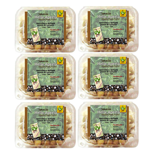 LUMACHE Monacella HELIX APERTA da Gastronomia Spurgate Pronte da Cucinare 100% Italiane + Ricettario Incluso
