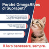 omegaRibes-2