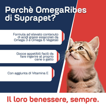 omegaRibes-2