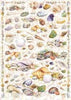 CALAMBOUR---FOGLIO-DI-CARTA-DECOUPAGE-CAL-234