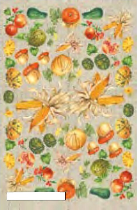 CALAMBOUR---FOGLIO-DI-CARTA-DECOUPAGE-CAL-38