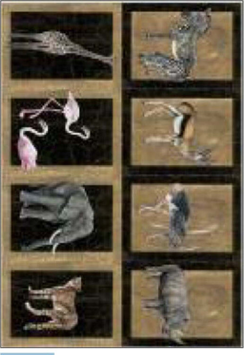 CALAMBOUR---FOGLIO-DI-CARTA-DECOUPAGE-CAL-72