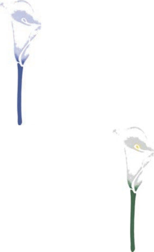 CALAMBOUR-COLLEZIONE-EASY---MASCHERINA-STENCIL-A4-21X29,7CM-CALLA-313